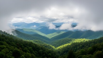 Obraz premium Panoramic view of a forested mountain valley with floating white clouds between rolling hills.