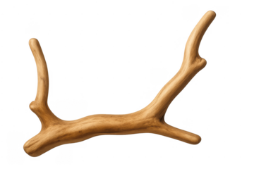 Natural dry branch wood isolated on transparent background