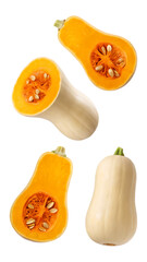 Falling pumpkin butternut squash isolated on white background