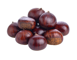 Obraz premium Pile of Freshly Harvested Brown Chestnuts Isolated on White Background.