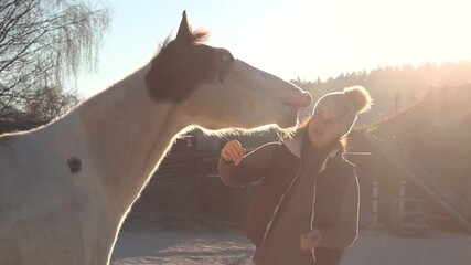 Young woman practicing gentle horsemanship with Paint Horse youngster