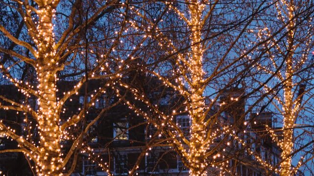 Mayfair Building, Christmas Tree Fairy Lights, Illuminated Festive Holiday Decorations, Night, Central London, United Kingdom