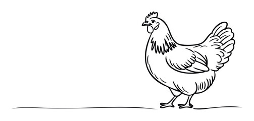 Minimalist black and white line art depicting a standing chicken, suitable for logos, farm themed graphics, or simple animal presentations in various media.