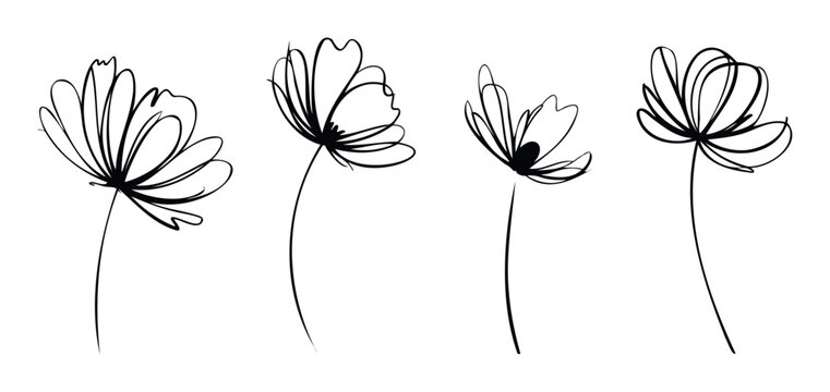 Minimalist hand drawn botanical flowers with elegant line art design perfect for decorative prints or modern graphic assets for branding.