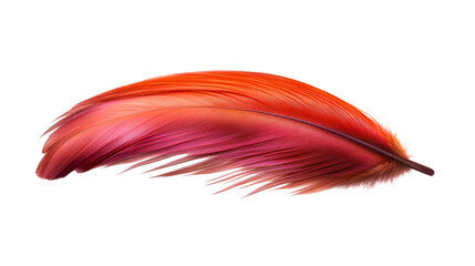 A vibrant individual feather showcasing a smooth color transition from fiery orange to rich red and deep magenta, perfect for themes related to lightness, softness, and natural elegance in