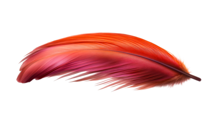 A vibrant individual feather showcasing a smooth color transition from fiery orange to rich red and deep magenta, perfect for themes related to lightness, softness, and natural elegance in