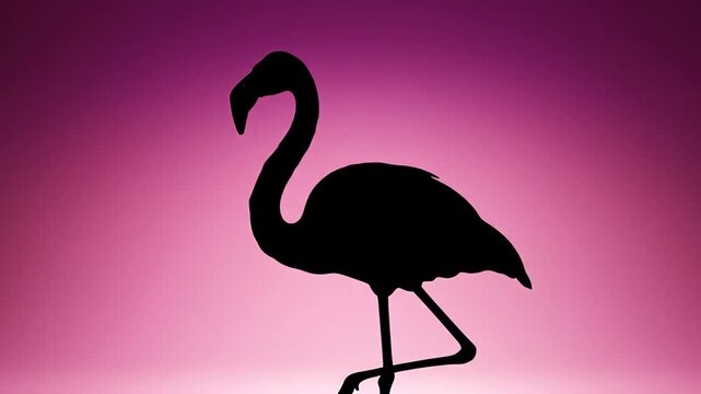 Minimalist studio shot of a perfectly shaped flamingo silhouette standing motionless on one leg against a clean, smooth gradient of deep magenta and blush pink gradient, artistic, perfectly