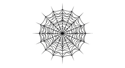 Detailed Black and White Spider Web Illustration.