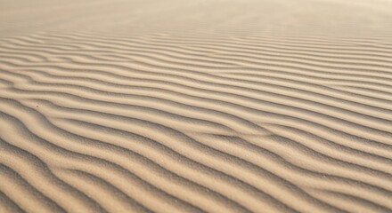 Fototapeta premium Closeup of sandy desert surface with distinct wavy ripples and parallel lines creating a textured pattern