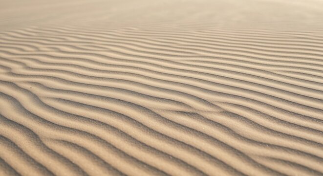 Closeup of sandy desert surface with distinct wavy ripples and parallel lines creating a textured pattern