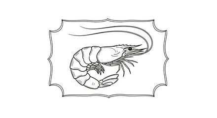Detailed black and white line art illustration of a shrimp inside a decorative ornate frame for seafood menus and restaurant branding.
