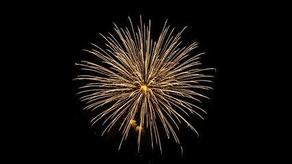 Vibrant golden fireworks exploding in dark night sky