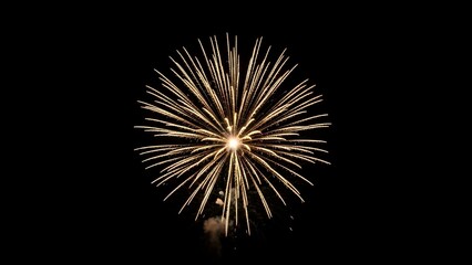 Obraz premium Vibrant golden fireworks exploding in night sky