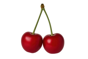 Two fresh red cherries hanging from a single stem
