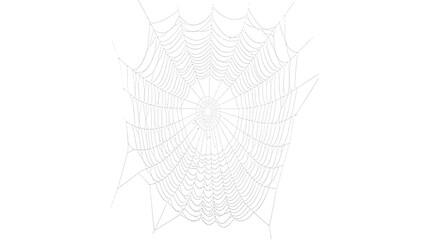 Delicate spiderweb intricate design capturing dew drops on a pristine white backdrop for graphic