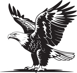 Obraz premium Eagle flying with wings spread wide silhouette bald eagle bird of prey hunting pose graphic element