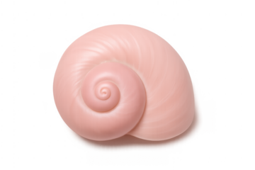 Pink spiral seashell marine life digital rendering