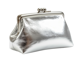 Shiny silver coin purse with clasp closure