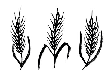 Set of hand drawn cereal wheat oat rye barley rice ears spikelet clipart Organic wheat bread agriculture farming harvest healthy food Single element for design print packaging label decor