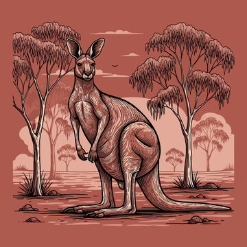 Kangaroo Standing in Australian Outback Landscape.