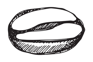 Hand drawn fresh roasted coffee bean Arabica robusta seed doodle Single element for print, web, design, decor