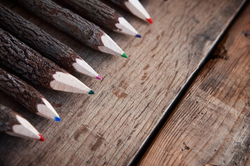 Wooden tree bark colored pencils on a wood background