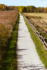 Fototapeta premium A long, narrow pathway stretches between a wooden fence and a dry field in autumn. Fall landscape shows colourful trees in the distance with brown grass and green vegetation along a rural country road