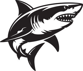 Fototapeta premium shark vector illustration