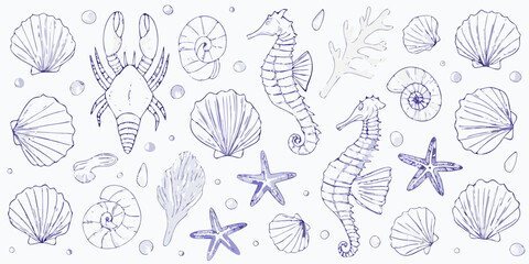 Delicate blue line drawing of marine life and seashells a coastal illustration © Piku
