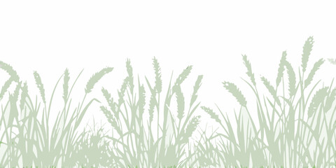 A serene illustration of green wheat or grass stalks against a white background © Rathindranath