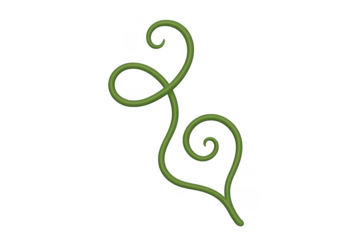 Green plant tendril twisting on transparent background