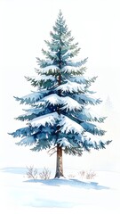 Fototapeta premium Watercolor Painting of a Snow-Covered Pine Tree.