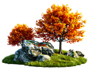 Vibrant autumn trees with mossy rocks on lush green grass
