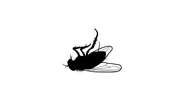 dead fly symbol, black isolated silhouette