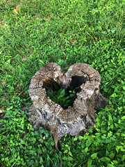 ハート型の切り株