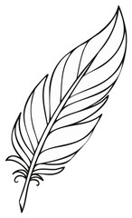 Obraz premium Elegant Hand-Drawn Feather Illustration with Intricate Details