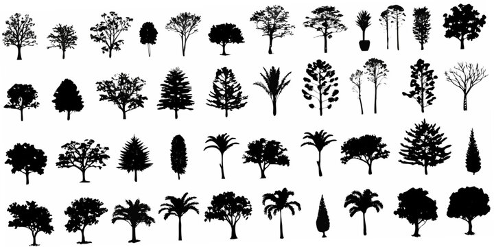 A collection of diverse tree silhouettes arranged in a grid pattern