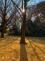 紅葉した公園_02