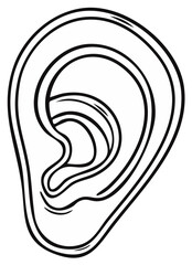 Human Ear Line Art Anatomy Auditory Organ Outline Hearing Sense