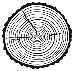 Fototapeta premium Wood grain circular pattern with growth rings and rough bark texture in black and white illustration