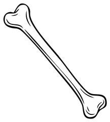 Black and white illustration of a single bone, anatomical human body skeletal structure.