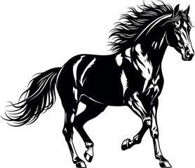 Black and white vector illustration of a majestic wild horse galloping with a flowing mane and tail isolated on white. © Nazidul