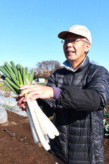 畑でネギを収穫する男性
