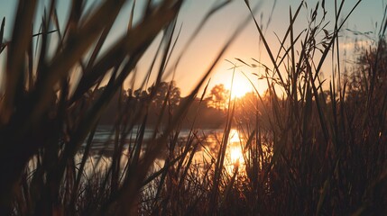 Serene golden hour sunset scene with bright sun rays piercing through tall grass silhouettes overlooking a calm lake reflecting warm light.