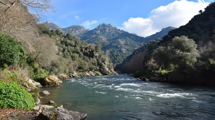 Fototapeta premium Vivid River Flowing Through a Valley Under a Bright Sky with Green Foliage and Rocky Shores in a Sunny Day