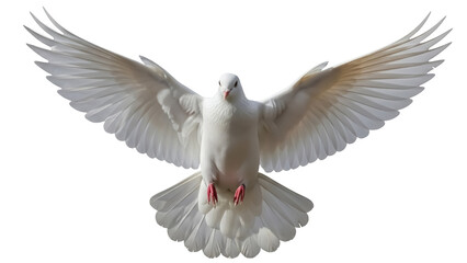 Obraz premium Dove PNG isolated on transparent background, white bird with open wings flying, symbol of peace and freedom, religious and spiritual concept