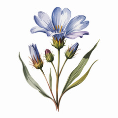Fototapeta premium A beautifully illustrated blue flower with budding blooms and lush green leaves, portraying nature's delicate beauty and tranquility in an artistic and vibrant manner.