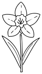 Obraz premium Daffodil flower on stem, two leaves, isolated hand-drawn simple doodle-style, line drawing for cards and decorations.