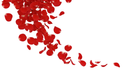 Cascade of falling red rose petals moving across transparent space