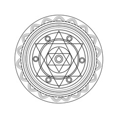 Cat Stretching in the Sun